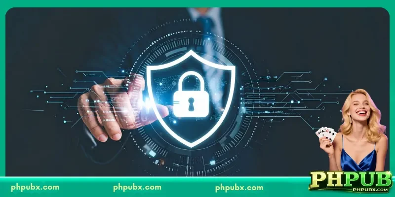 Data Handling Practices in the PHPUB Privacy Policy